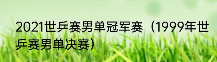 2021世乒赛男单冠军赛（1999年世乒赛男单决赛）