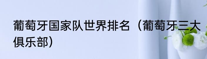 葡萄牙国家队世界排名（葡萄牙三大俱乐部）
