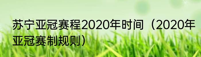 苏宁亚冠赛程2020年时间（2020年亚冠赛制规则）