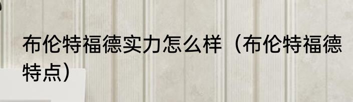 布伦特福德实力怎么样（布伦特福德特点）