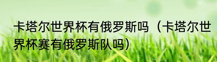 卡塔尔世界杯有俄罗斯吗（卡塔尔世界杯赛有俄罗斯队吗）