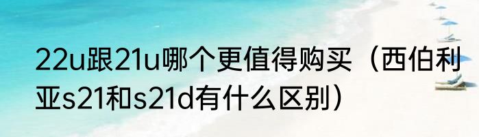 22u跟21u哪个更值得购买（西伯利亚s21和s21d有什么区别）