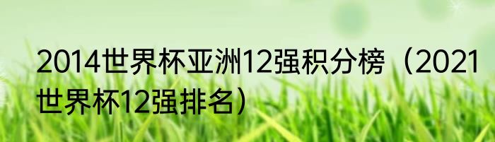 2014世界杯亚洲12强积分榜（2021世界杯12强排名）