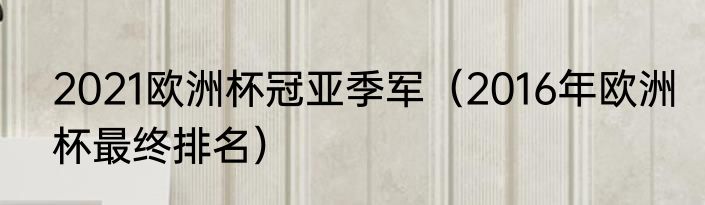 2021欧洲杯冠亚季军（2016年欧洲杯最终排名）