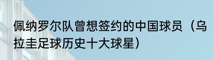 佩纳罗尔队曾想签约的中国球员（乌拉圭足球历史十大球星）