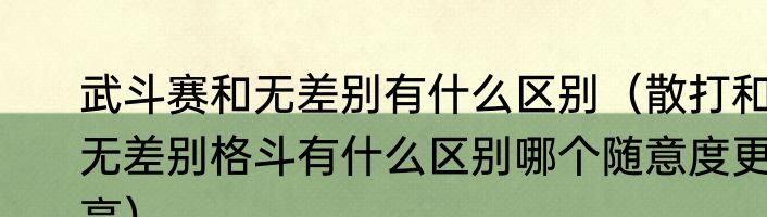 武斗赛和无差别有什么区别（散打和无差别格斗有什么区别哪个随意度更高）