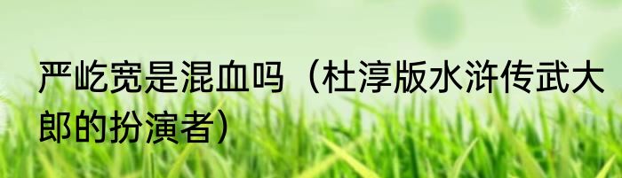 严屹宽是混血吗（杜淳版水浒传武大郎的扮演者）