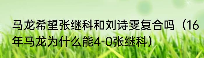 马龙希望张继科和刘诗雯复合吗（16年马龙为什么能4-0张继科）