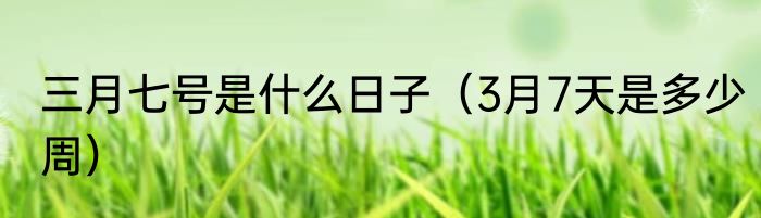 三月七号是什么日子（3月7天是多少周）