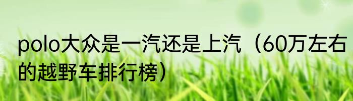 polo大众是一汽还是上汽（60万左右的越野车排行榜）