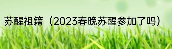 苏醒祖籍（2023春晚苏醒参加了吗）