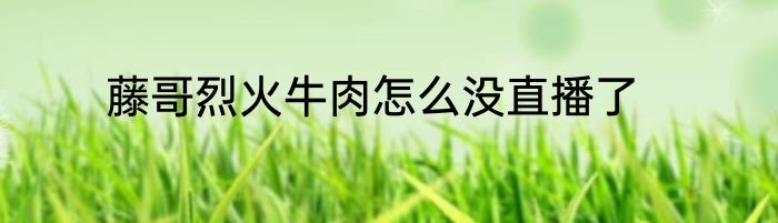 藤哥烈火牛肉怎么没直播了
