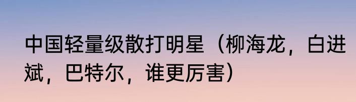 中国轻量级散打明星（柳海龙，白进斌，巴特尔，谁更厉害）