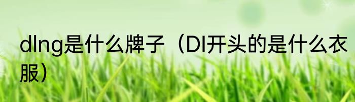 dlng是什么牌子（DI开头的是什么衣服）