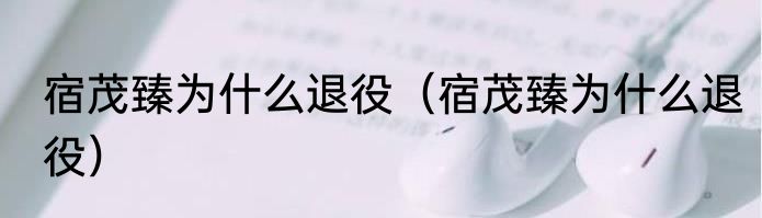 宿茂臻为什么退役（宿茂臻为什么退役）