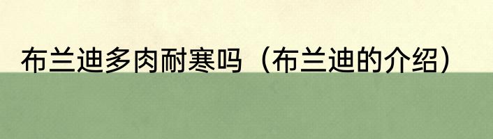 布兰迪多肉耐寒吗（布兰迪的介绍）