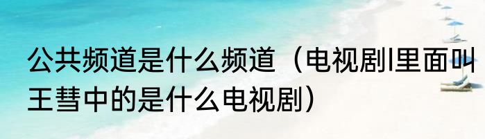 公共频道是什么频道（电视剧l里面叫王彗中的是什么电视剧）