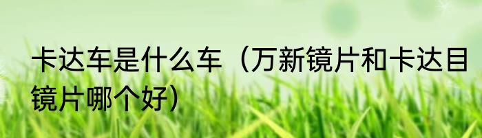 卡达车是什么车（万新镜片和卡达目镜片哪个好）