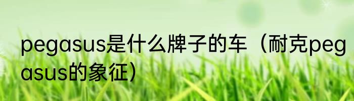 pegasus是什么牌子的车（耐克pegasus的象征）