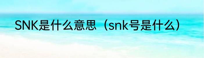 SNK是什么意思（snk号是什么）