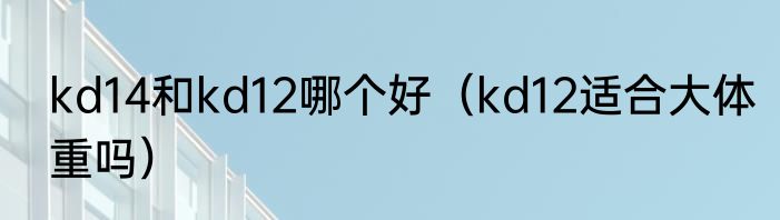kd14和kd12哪个好（kd12适合大体重吗）
