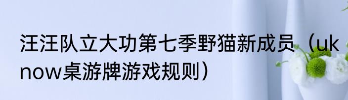 汪汪队立大功第七季野猫新成员（uknow桌游牌游戏规则）