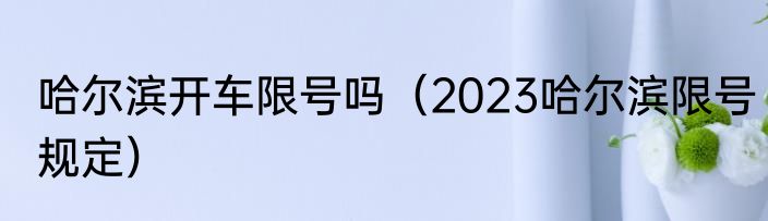 哈尔滨开车限号吗（2023哈尔滨限号规定）