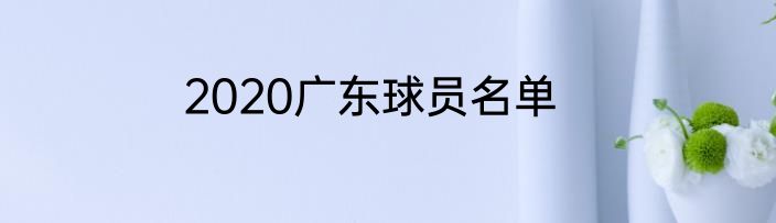 2020广东球员名单
