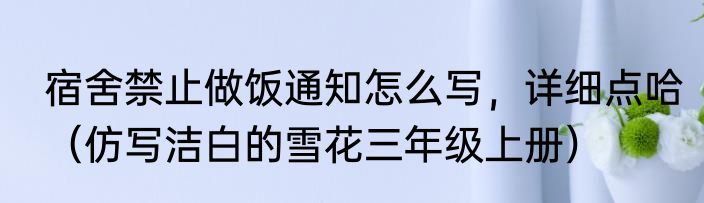 宿舍禁止做饭通知怎么写，详细点哈（仿写洁白的雪花三年级上册）
