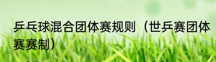 乒乓球混合团体赛规则（世乒赛团体赛赛制）