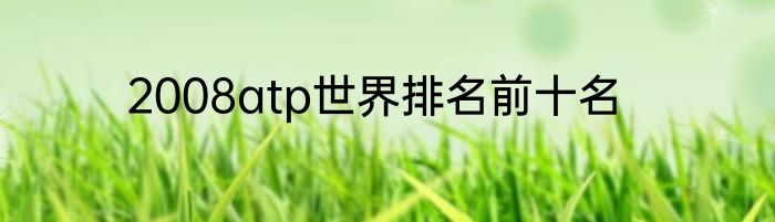 2008atp世界排名前十名