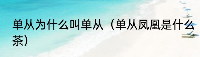 单从为什么叫单从（单从凤凰是什么茶）