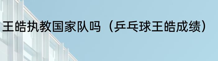 王皓执教国家队吗（乒乓球王皓成绩）