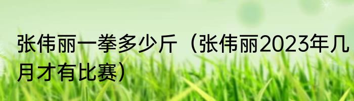 张伟丽一拳多少斤（张伟丽2023年几月才有比赛）