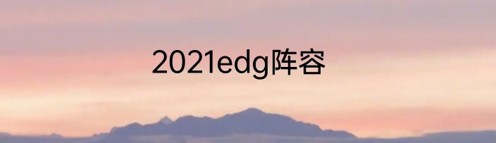 2021edg阵容