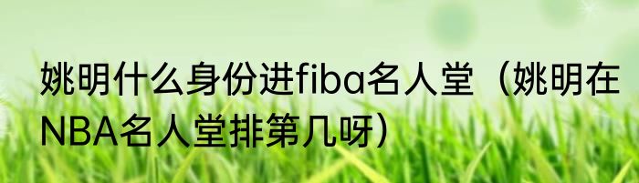 姚明什么身份进fiba名人堂（姚明在NBA名人堂排第几呀）