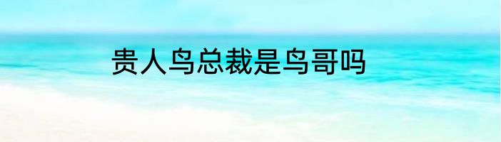 贵人鸟总裁是鸟哥吗