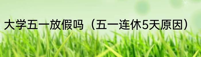 大学五一放假吗（五一连休5天原因）