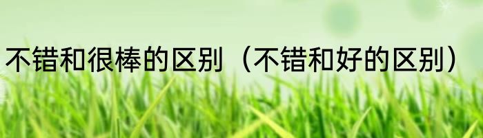 不错和很棒的区别（不错和好的区别）