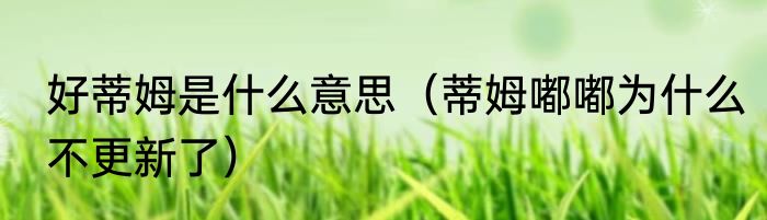 好蒂姆是什么意思（蒂姆嘟嘟为什么不更新了）