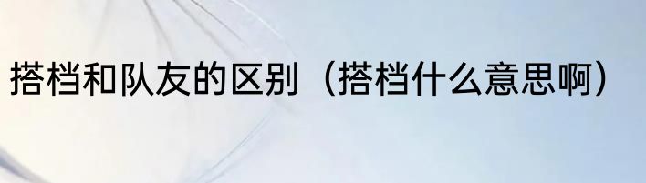 搭档和队友的区别（搭档什么意思啊）