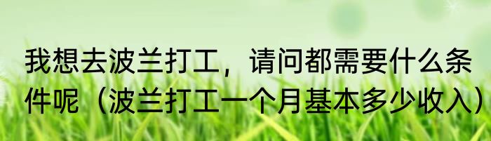我想去波兰打工，请问都需要什么条件呢（波兰打工一个月基本多少收入）