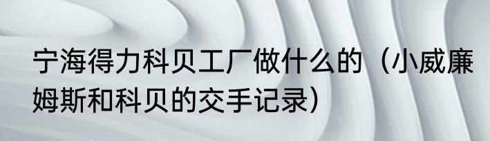 宁海得力科贝工厂做什么的（小威廉姆斯和科贝的交手记录）