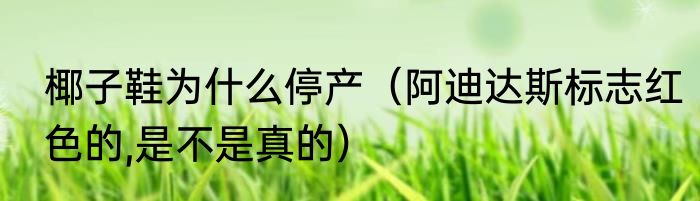 椰子鞋为什么停产（阿迪达斯标志红色的,是不是真的）