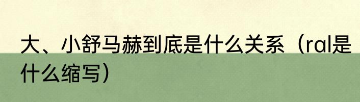 大、小舒马赫到底是什么关系（ral是什么缩写）