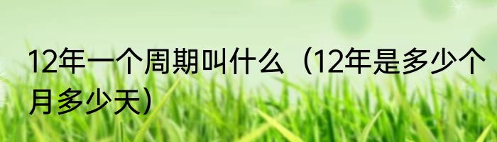12年一个周期叫什么（12年是多少个月多少天）