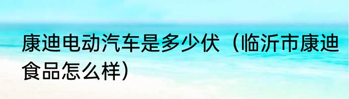 康迪电动汽车是多少伏（临沂市康迪食品怎么样）