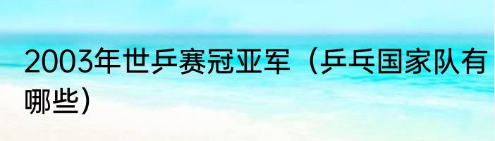 2003年世乒赛冠亚军（乒乓国家队有哪些）