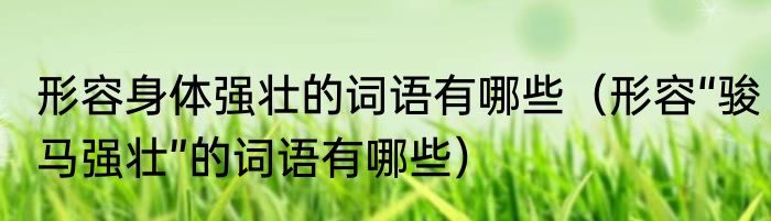 形容身体强壮的词语有哪些（形容“骏马强壮”的词语有哪些）