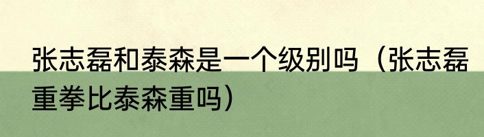 张志磊和泰森是一个级别吗（张志磊重拳比泰森重吗）